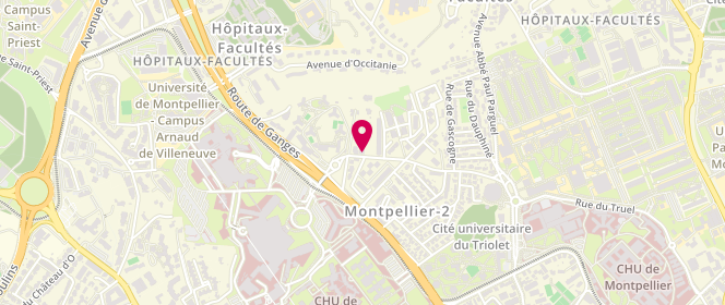 Plan de Self Lavage, 1460 Rue du Professeur Joseph Anglada, 34090 Montpellier