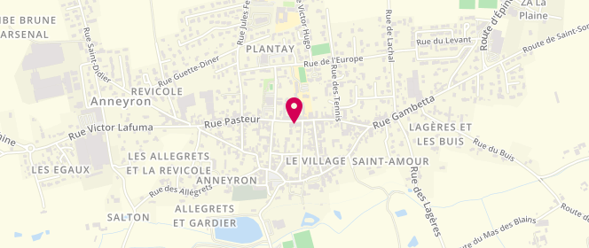 Plan de FEREIRE Sylviane, 26 Place Rambaud, 26140 Anneyron