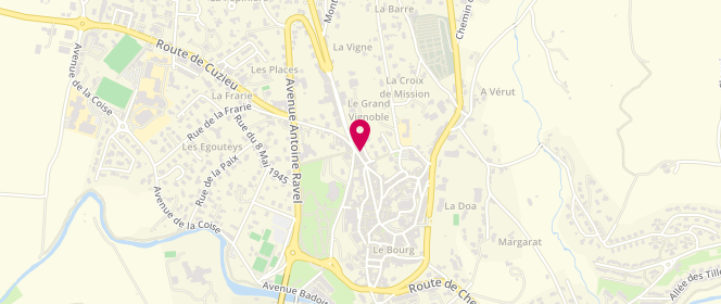 Plan de Loire Multiservices, 32 Rue Maurice André, 42330 Saint-Galmier