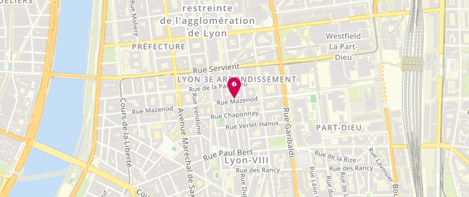 Plan de Laverie Écologique Lyon 3, 229 Rue Duguesclin, 69003 Lyon