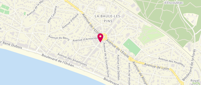 Plan de Laverie des Evins, 46 avenue Louis Lajarrige, 44500 La Baule-Escoublac