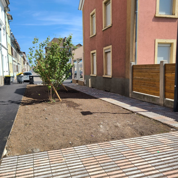 Laverie Roosevelt - 68200 Mulhouse